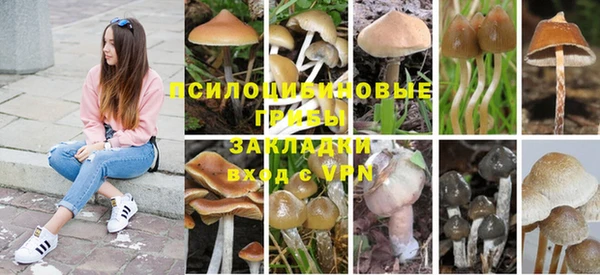 spice Абаза